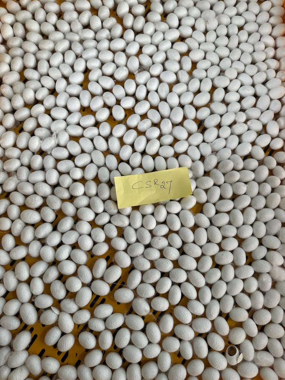 Farmer Support & Guidance